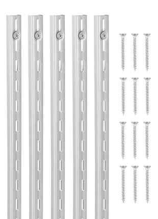 Shelf Pilaster, 39-inch 10 Pack, Upright Wall Shelving System, Heavy Duty Support System Single Slot Shelf Rails, 40 Screws Included, Suitable for Cabinet Closet Organization Storage, Silver