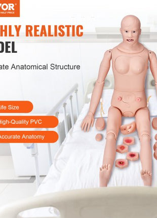 Nursing Training Manikin, Male/Female Life Size Demonstration Human Manikin for Nursing Training, Multifunctional Education Teaching Model, PVC Anatomical Mannequin Body Care Simulator Model