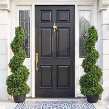 Elegant black front door with gold hardware, flanked by lush green spiral topiary in black pots and a blue patterned mat.