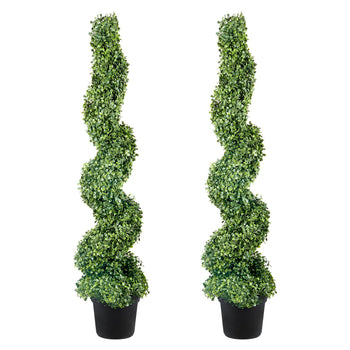 Two spiral topiary plants in black pots, featuring vibrant green foliage for elegant home decor enhancement.