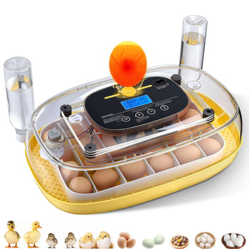 24 Egg Incubator, Automatic Egg Turner with LED Candler, Temperature Control & Humidity Display, 360° View Window, Auto Water Refill, Poultry Eggs Incubator for Hatching Chicks Ducks Goose Quail