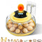  Egg Incubators