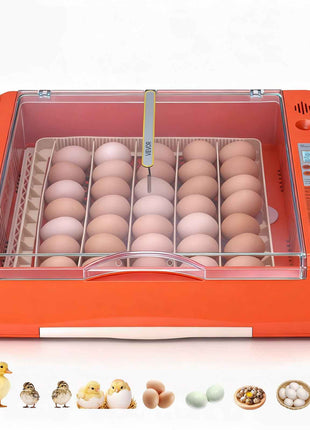 36 Egg Incubator, Automatic Egg Turner with LED Candler & Water Tray, Temperature & Humidity Control, 360° View Clear Window, Poultry Eggs Incubators for Hatching Chicks Ducks Goose Quails