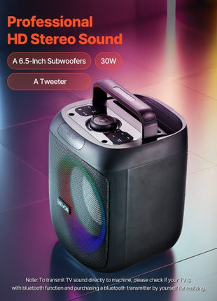 Karaoke Machine for Adults, 30W, 6.5-inch Portable Bluetooth Speaker with 2 Wireless Microphones, LED Light, TWS Function, Handle, Support Micro TF Card, USB, AUX, for Home Karaoke Party Singing