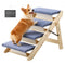  Cat Supplies