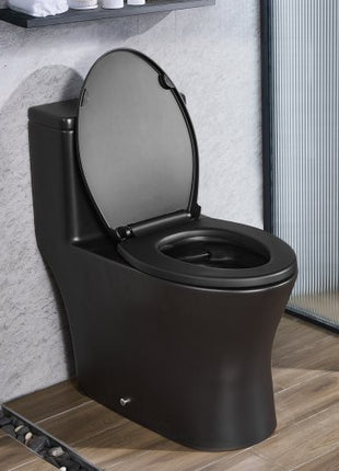One-Piece Toilet, Elongated Toilet Vortex Dual-Flush 1.0/1.28 GPF, Toilets for Bathroom with Comfortable Chair Seat, Standard Height, Easy-Clean Skirted Design, 12 inch Rough-In, Black + Silver