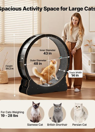 Cat Exercise Wheel, 48 in Wooden Cat Running Wheel for Indoor Cats up to 28 lbs, Cats Treadmill with Carpeted Runway & Locking Mechanism, Quiet Kitten Sport Toys for Pets Fitness & Health, Black