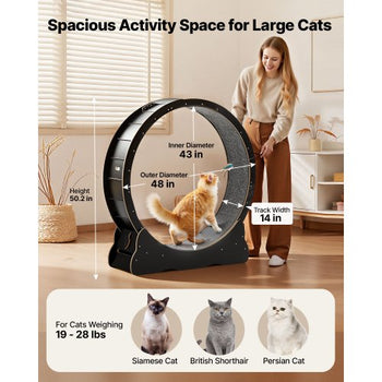 Cat Exercise Wheel, 48 in Wooden Cat Running Wheel for Indoor Cats up to 28 lbs, Cats Treadmill with Carpeted Runway & Locking Mechanism, Quiet Kitten Sport Toys for Pets Fitness & Health, Black