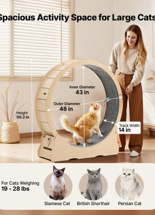 Cat Exercise Wheel, 48 in Wooden Cat Running Wheel for Indoor Cats up to 28 lbs, Cats Treadmill with Carpeted Runway & Locking Mechanism, Quiet Roller Kitten Sport Toys for Pets Fitness & Health