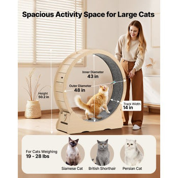 Cat Exercise Wheel, 48 in Wooden Cat Running Wheel for Indoor Cats up to 28 lbs, Cats Treadmill with Carpeted Runway & Locking Mechanism, Quiet Roller Kitten Sport Toys for Pets Fitness & Health