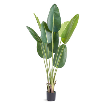 Lifelike green artificial banana tree in a sleek black pot, featuring tall, glossy leaves for modern decor.