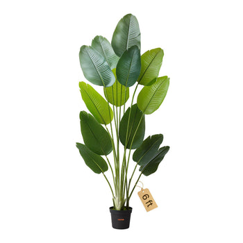 Artificial Bird of Paradise 6 ft Tall, Fake Tropical Plants with with 13 Trunks & White Pot, Faux Floor Silk Tree, Large Trees for Home Office Living Room Decor House Warming, Indoor Outdoor