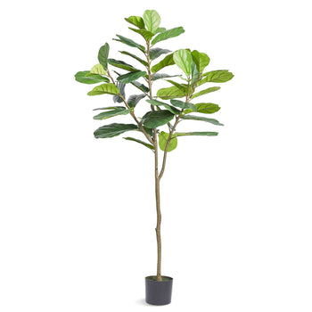 Faux Fiddle Leaf Fig Tree, 5 feet tall, lush green leaves, natural stem, modern home decor, black pot.