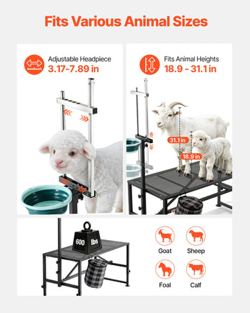 Goat Milking Stand, 600 lbs Heavy Duty Goat Stand with Feed Bin, Adjustable Headpiece & Tool Basket, Stanchion for Grooming & Hoof Trimming, Metal Livestock Platform for Sheep, 47" x 23", Black