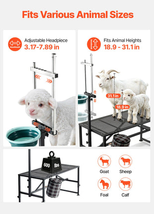 Goat Milking Stand, 600 lbs Heavy Duty Goat Stand with Feed Bin, Adjustable Headpiece & Tool Basket, Stanchion for Grooming & Hoof Trimming, Metal Livestock Platform for Sheep, 51" x 23", Black