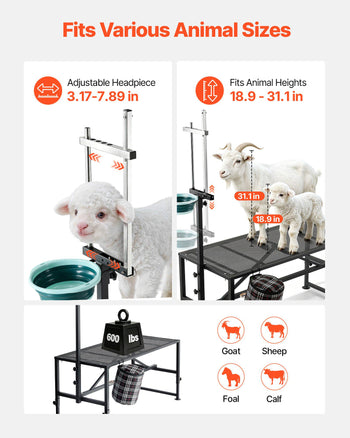 Goat Milking Stand, 600 lbs Heavy Duty Goat Stand with Feed Bin, Adjustable Headpiece & Tool Basket, Stanchion for Grooming & Hoof Trimming, Metal Livestock Platform for Sheep, 51" x 23", Black