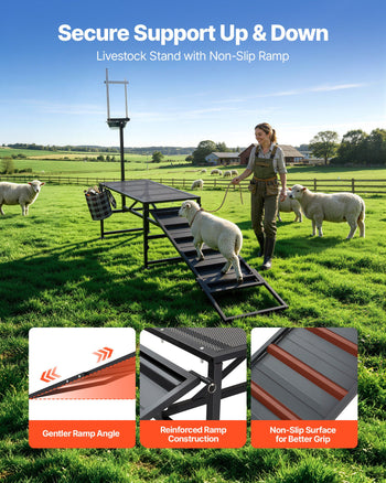 Goat Milking Stand, 600 lbs Heavy Duty Goat Stand with Ramp & Feed Bin, Adjustable Headpiece & Tool Basket, Stanchion for Grooming & Hoof Trimming, Metal Livestock Platform for Sheep Lamb, Black
