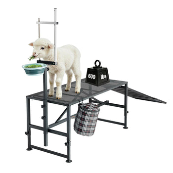Goat Milking Stand, 600 lbs Heavy Duty Goat Stand with Ramp & Feed Bin, Adjustable Headpiece & Tool Basket, Stanchion for Grooming & Hoof Trimming, Metal Livestock Platform for Sheep Lamb, Black