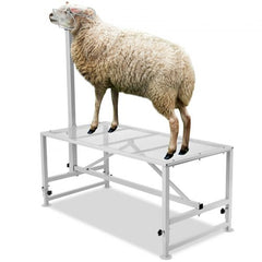 Collection image for: Livestock Feeders & Waterers
