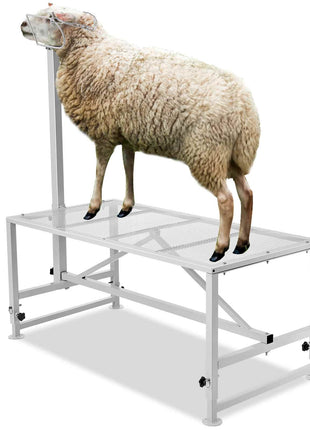 Goat & Sheep Stand, 47x23 inch Livestock Stand, Metal Livestock Milking and Shearing Stand 21" to 33" Adjustable Height, with Headpiece and Nose Loop, 500lbs Loading Weight, White