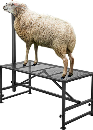 Goat & Sheep Stand, 51x23 inch Livestock Stand, Metal Livestock Milking and Shearing Stand 21" to 33" Adjustable Height, with Headpiece and Nose Loop, 500lbs Loading Weight, Black