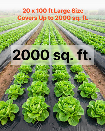 6 Mil Plastic Sheeting 20' x 100' Black Heavy Duty Polyethylene Roll, Thick Plastic Roll for Garden, Drop Cloth Painters Tarp, Polyethylene Covering for Crawl Space Vapor Barrier, Weed Control