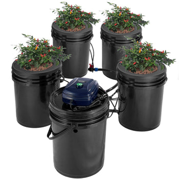 RDWC Hydroponics Grow System, Hydroponic Growing Kit with Top Drip, Recirculating Deep Water Culture 4 Buckles and 1 Reservoir, with Air Pump and Water Level Device for Leafy Vegetables