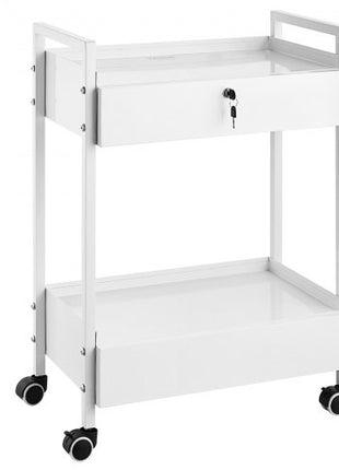 Lab Cart, 2 Tiers Stainless Steel Utility Cart, Medical Cart with 2 Drawers, Rolling Lab Cart White Paint, Serving Cart with Swivel Casters for Laboratory, Hospital, Dental, Salon and Beauty