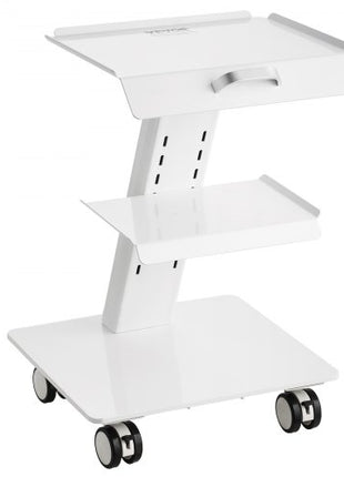 Lab Trolley, 3-Layer Rolling Lab Cart, Metal Mobile Trolley with Swivel Wheels, Tray Rolling Clinic Cart 220 lbs Weight Capacity, for Lab, Clinic, Beauty and Salon