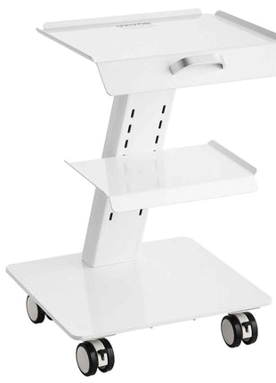 Lab Trolley, 3-Layer Rolling Lab Cart, Metal Mobile Trolley with Swivel Wheels, Tray Rolling Clinic Cart 220 lbs Weight Capacity, for Lab, Clinic, Beauty and Salon