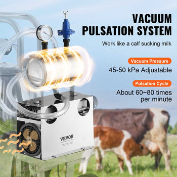 Stainless steel vacuum pulsation system with adjustable pressure for efficient livestock milking, 45-50 kPa.
