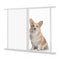 Vehicle Pet Barriers