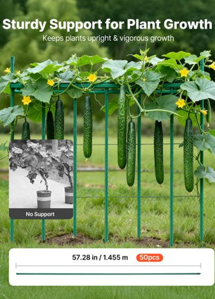 Garden Stakes, 50 Pack, 57.28 inch, Plastic Coated Metal Tomato Stakes, Garden Sticks for Plants Support, with Pointed End and Non-Slip Bumps for Growing Climbing Plants, Outdoor Vegetables