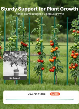 Garden Stakes, 50 Pack, 70.87 inch, Plastic Coated Metal Tomato Stakes, Garden Sticks for Plants Support, with Pointed End and Non-Slip Bumps for Growing Climbing Plants, Outdoor Vegetables