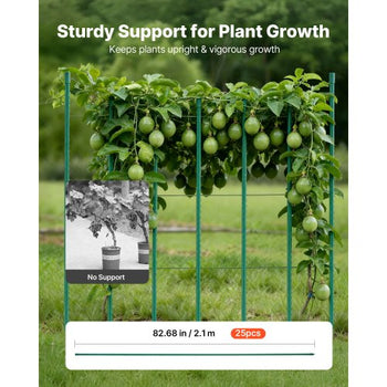 Garden Stakes, 25 Pack, 82.68 inch, Plastic Coated Metal Tomato Stakes, Garden Sticks for Plants Support, with Pointed End and Non-Slip Bumps for Growing Climbing Plants, Outdoor Vegetables