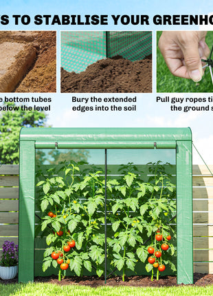 Mini Greenhouse, Portable Greenhouse with Roll-Up Door and 2 Mesh Windows, PE Cover, 78.7" x 29.5" x 74", Green