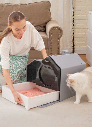 Hooded Cat Litter Box w/ Litter Mat, Litter Particle Catching, Gray