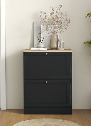 Slim Shoe Storage Cabinet, Modern Shoe Cabinet with 2 Flip Drawers and Adjustable Shelves for 8-12 Pairs, Black