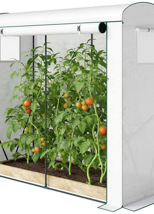 Mini Greenhouse, Portable Greenhouse with Roll-Up Door and 2 Mesh Windows, PE Cover, 78.7" x 29.5" x 74", White