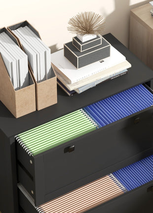 Lateral File Cabinet, 2 Drawer Filing Cabinet with Adjustable Hanging Bar for Letter, A4 and Legal Size, Black