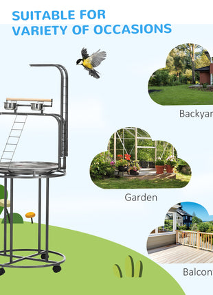 Parrot Stand Large Bird Perch Stand with Toy Hook & 3 Ladders, Parrot Perch, Bird Wooden Stand, Gray