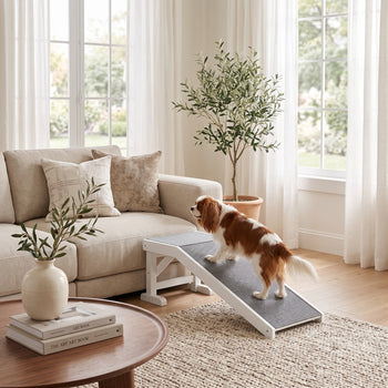 49" Pet Ramp for Dogs & Cats with Non-Slip Carpet, White
