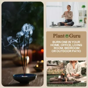 500 Incense Sticks 11" Pet Odor Eliminator Hand Dipped